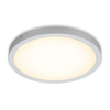 Briloner 7143-014 - LED plafonsko svetlo FIRE LED/24,5W/230V 3000K