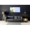 tulup.si Slika na steklu Daisy rastlin narava 120x60 cm 2 obešalnika