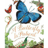 Butterfly Is Patient