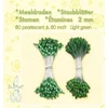 Leane Creatief Flower Pistil Prašniki Light Green