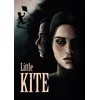 Little Kite Steam Key GLOBAL