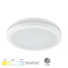 LED PLAFONJERA MONA-300-30W 3000/4000/6500K IP65 BELA