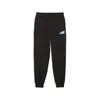 PUMA Essentials Logo Lab Relaxed Sweatpants Youth, Age, Black, 15-16Y