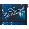 BAAGL Denarnica Steel