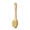 Cactus Long Handle Brush