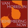 Van Morrison - Remembering Now (2 LP)