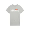 ELLESSE Funkcionalna majica Malia 2 siva / oranžna / rdeča / bela