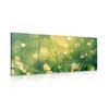 Slika jutranja rosa - 120x60