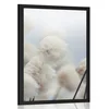 Plakat arktični cvetovi bombaža - 40x60 silver