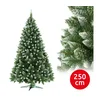 Božićna jelka 250 cm bor