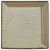 TANJIR ZA SERVIRANJE 28/28 cm