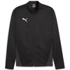 Jakna Puma teamGOAL Training Jacket