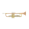 Trobenta Roy Benson Bb TR-202G RB701.075
