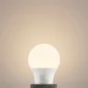 Arcchio Svetilka LED E27 A60 4,9W 3.000K opal komplet 10 - Plastika