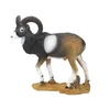 3D SRT MUFLON