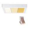 Paulmann 79801 - LED/13W Plafonsko svetlo CARPO 230V 2300/2500/3000K