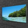 tulup.si Slika na akrilnem steklu Morje tree landscape 120x60 cm 2 obešalnika