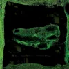 Avey Tare - Down There (Reissue) (LP)