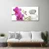 tulup.si Steklena slika Bela flower art 100x50 cm 2 obešalnika