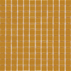 Monocolor 503