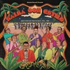 Various Artists - Salsa Con Estilo (2 LP)