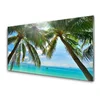 tulup.si Slika na steklu Palm tree morje landscape 125x50 cm 2 obešalnika