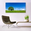 tulup.si Steklena slika Grass tree narava 140x70 cm 4 obešalnika