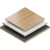 List krožne žage Top Precision Best for Laminated Panel Fine