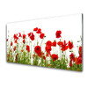 tulup.si Slika na steklu Mak rože narava rastlin 125x50 cm 2 obešalnika