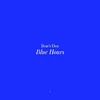 Bears Den - Blue Hours (LP)