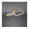 Eglo 390204 - LED prigušiva plafonska lampa LODOSA LED/25W/230V 3000K