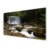 tulup.si Slika na steklu Forest slap narava 120x60 cm 4 obešalnika