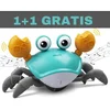 Sofistar Interaktivna igrača Hitri rakec CRAWLY 1+1 GRATIS, (20897856)