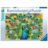Ravensburger puzzle (slagalice) 2000pcs Land of the Peacock RA16567