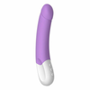 Liebe Vibrator Liebe Exciter Violet - Užitek za G-točko