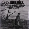 Bintangs - Its A Nightmare (180 g) (LP)