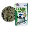 Ribja hrana iz alg Hikari Algae Wafers 1 kg