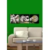 Wallity Zidni sat 3P2828CS-3, 90x28 cm, 3 dela
