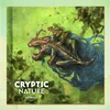 iDventure Artbook Cryptic Nature - 1 k.