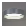 Duolla - LED plafonsko svetlo ROLLER LED/24W/230V prečnik 45 cm srebrno