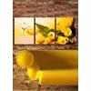 Wallity Zidni sat 3P3040CS-45, 96x40 cm, 3 dela
