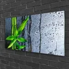 tulup.si Slika na steklu Bamboo leaf narava rastlin 120x60 cm 2 obešalnika