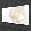 tulup.si Slika na steklu Rose flowers 120x60 cm 2 obešalnika
