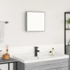LED kupaonsko ogledalo Zidne Siva Sonoma 40 x 37 x 8.5 cm