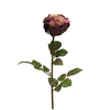 Umetna vrtnica Verona 70cm - 50 do 75 cm