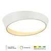 LED plafonska lampa F2098-75C WH+SG