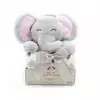 DexyCo sweet dreams baby set sivo slonce silver ( YD533707 )