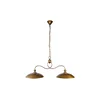 Palnas 62001647 - Luster na sajli ELZA 2xE27/60W/230V