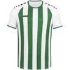 Inter KA Jersey kids