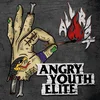 Angry Youth Elite - All Riot (Limited Edition) (LP)